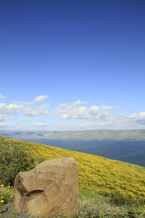 A view of the Sea of Galilee von Hanan Isachar