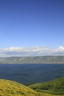 A view of the Sea of Galilee by Hanan Isachar