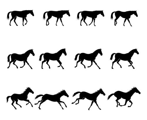 Horse-gaits