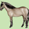 Pony-breeds-sorraia
