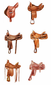 Six saddles von William Rossin