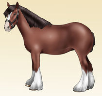 Brown pony - Shire breed by William Rossin