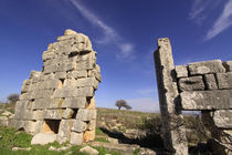 Galilee, the remains of the Temple in Tel Kadesh von Hanan Isachar