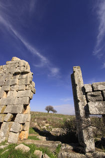 Galilee, the remains of the Temple in Tel Kadesh by Hanan Isachar