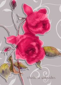 rote rosen auf grauem hintergrund von barbara schreiber