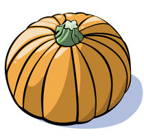 Vegetables series: pumpkin von William Rossin