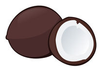 Coconut von William Rossin