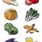 Vegetables-color