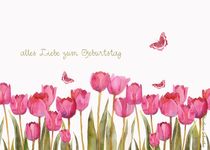 alles liebe zum geburtstag, rosa tulpen und schmetterlinge von barbara schreiber