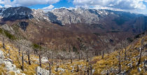 Panorama from Golic by Ivan Coric