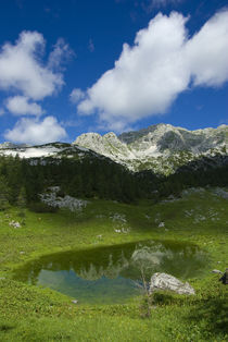 Little lake von Ivan Coric