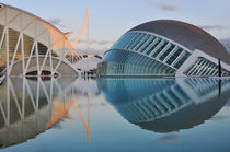 Valencia, Ciudad de las Artes y las Ciencias von Frank Rother