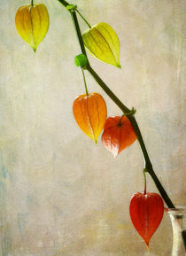 Herbstreife by Franziska Rullert