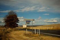 This way to the Cemetery.  by Tim Leavy