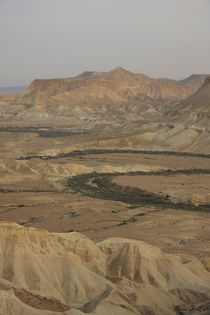 Negev desert, a view of Zin valley by Hanan Isachar