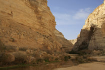 Ein Avdat Nature Reserve in Wadi Zin von Hanan Isachar