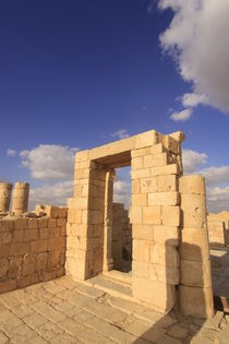 Negev, the Nabatean Temple in Avdat by Hanan Isachar