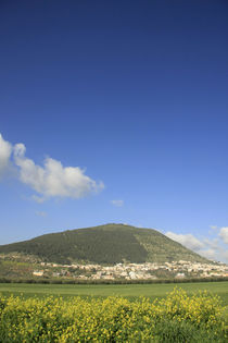 Mount Tabor at the heart of Jezreel valley by Hanan Isachar