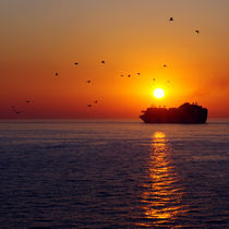 Sailing into the Sunset von Mark Wilson
