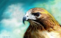 Red Tail Hawk by Crispin  Delgado