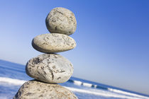 Seashore Stones