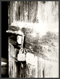 The Door by Andrea Capano
