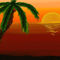 Palm-sunset-copy