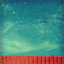 red carpet in the sky by Elvira Stürmer