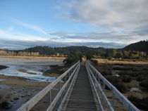 Abel Tasman Walkway by Aimie Robinson