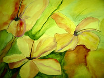 Zarte Blüten in Gelb von Cornelia Greinke