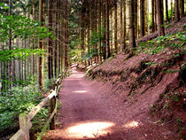 Waldweg von Cornelia Greinke