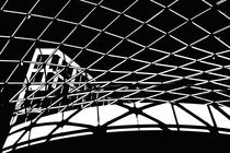 In the net by Milan Lorencik