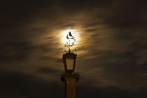 Windfahne im Mondlicht von michas-pix