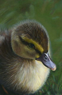 Duckling by Kara Zisa
