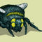 02-comp-bumblebee