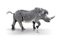 Zebra-Horn  by Werner Dreblow
