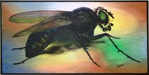 "the fly" 100 x 50 cm 2011  by Harry Stabno