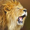 Roaring-lion-travis-jervey