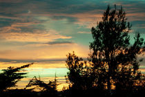 Pine Silhouette On Sunset Clouds von Marc Garrido Clotet