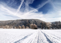 Winter Landscape by Martin Krämer