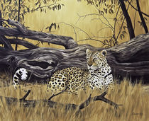 Leopard at dead tree von Andre Olwage