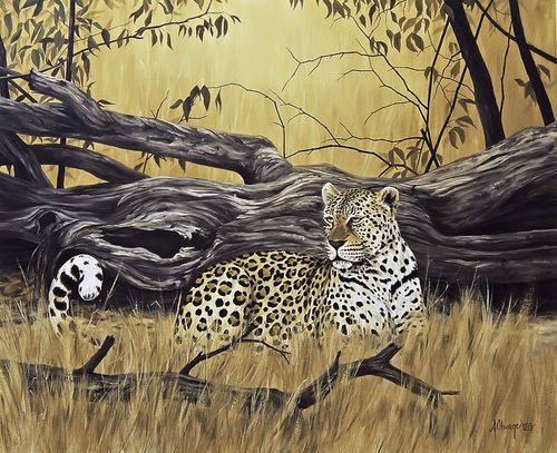 Leopard-at-dead-tree