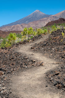 winding road to Teide, Tenerife, Teneriffa. Spain von Raico Rosenberg