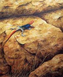 Agama lizard von Andre Olwage