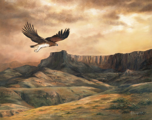 Eagle-at-sunset