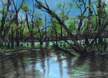 Gator Pond in Bayou by Julie Ann Stricklin by Julie Ann  Stricklin