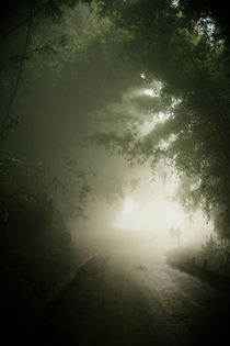 In the fog of Sapa by Thomas Cristofoletti