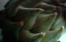 Kitchen spikes artichoke by Robert  Perks