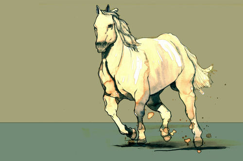 Horse02
