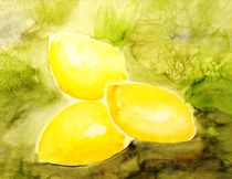 Lemon by Maria-Anna  Ziehr